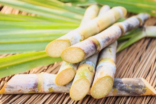 甘蔗营养价值及食用功效，切记发黄发酸的甘蔗千万不能吃