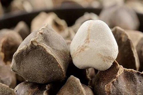 辣木籽的功效与作用 辣木籽可解酒还能治病，你了解吗