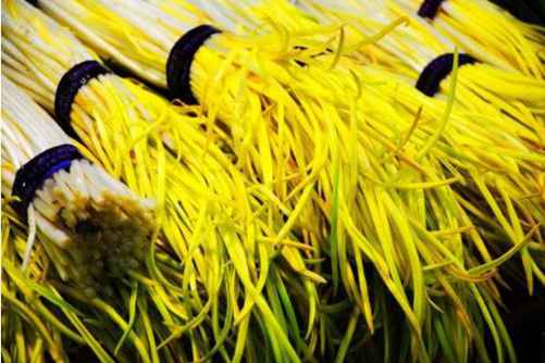 韭黄的种植方法，照着做自己也可以种出韭黄