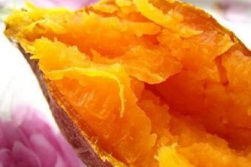 地瓜图片 旧年果腹不愿谈,今日倒成席上餐