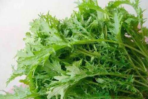 雪菜图片，纵然金菜琅蔬好，不及吾乡雪里蕻