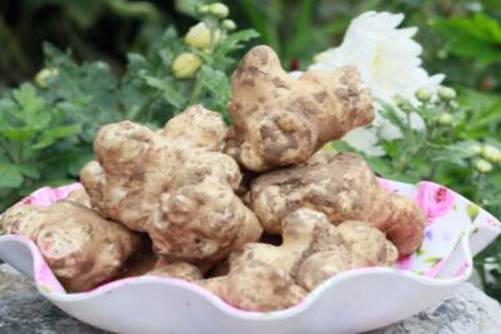 菊芋的做法，菊芋这样做好吃又开胃