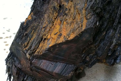 乌木是什么,乌木价格贵吗？多少钱一吨