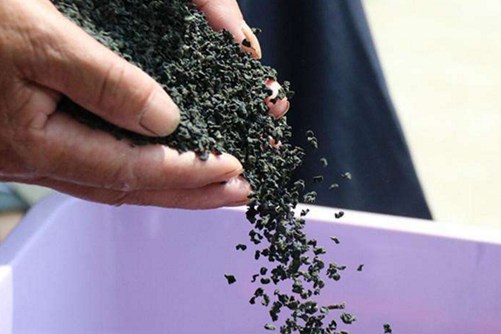 葛仙米的价格贵吗？葛仙米维c含量是猕猴桃的3倍