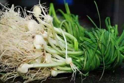 小蒜的做法，二月小蒜 香死老汉