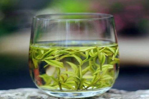 安吉白茶多少钱一斤?给你带来最新的2019安吉白茶的价格