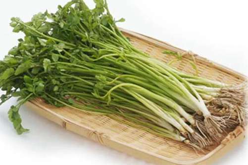 水芹菜做法，水芹菜餐桌上难得的美味