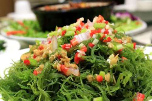 海发菜和发菜究竟有何不同？今天终于知道海发菜和发菜的区别了