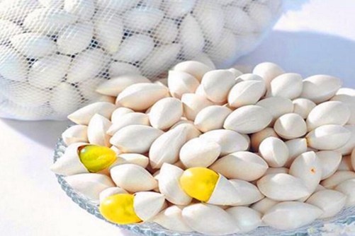 白果可以祛斑吗，白果的功效与作用介绍