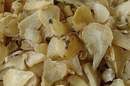 天南星多少钱一斤？天南星最新价格走势