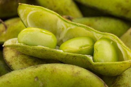 如何快速剥毛豆，教你一个小窍门，剥再多的毛豆也没有问题