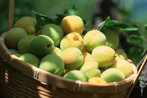 乌梅的做法，最简单乌梅的做法，看一眼就会