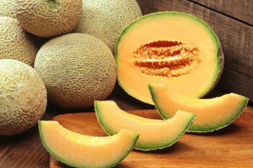 哈密瓜的功效与作用 哈密瓜是凉性的为什么吃了也上火呢
