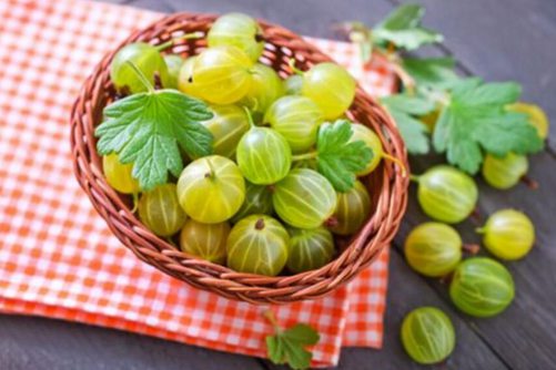 灯笼果的功效与作用，灯笼果有清热解毒、化痰、利咽等4大功效