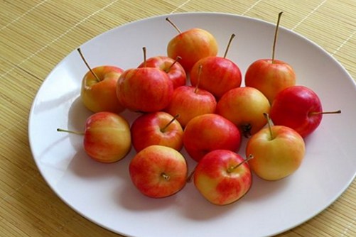 沙果的功效与作用  吃沙果除了生津止渴还能明目驱虫