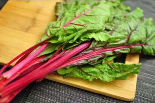 红牛皮菜有哪些价值？常听人说吹牛皮，可你知红牛皮菜