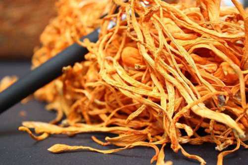 虫草花一斤多少钱?你要的虫草花报价这里有