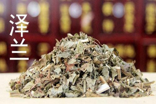 泽兰的功效与作用，泽兰能安神解毒消肿但毒性很强