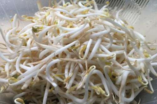 绿豆芽的做法，自己做绿豆芽健康好吃还放心