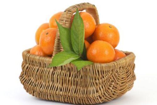 国内水果品种有哪些？看看你最爱的水果品种是哪些