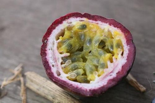 百香果图片，北流有奇果 名实皆百香