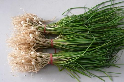 薤白是什么菜，薤白的功效与作用