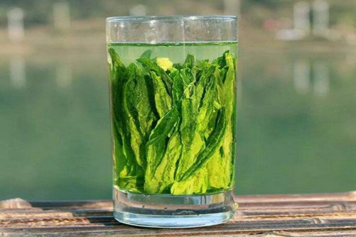 太平猴魁怎么泡，4步让你泡出来的太平猴魁茶叶站立着