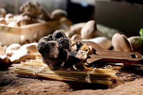 松露的功效与作用，又丑又难闻的松露怎么吃才美味