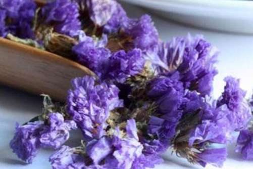 勿忘我花茶有什么功效？勿忘我花茶的饮用禁忌