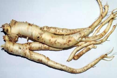 桔梗的做法，美味佳药的桔梗多种做法