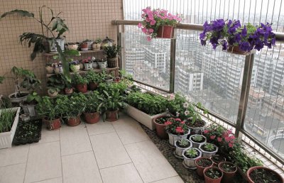 人不在家怎么给花浇水？家里没人花怎么办怎么浇花？