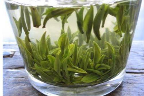 千岛银针的功效，千岛银针是什么茶